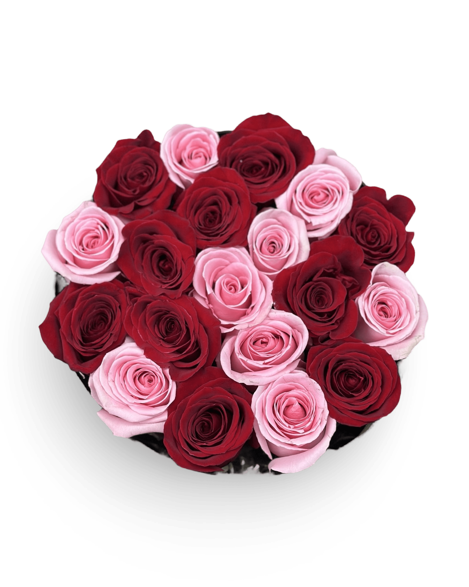 Joy Remix - Petal Relations
