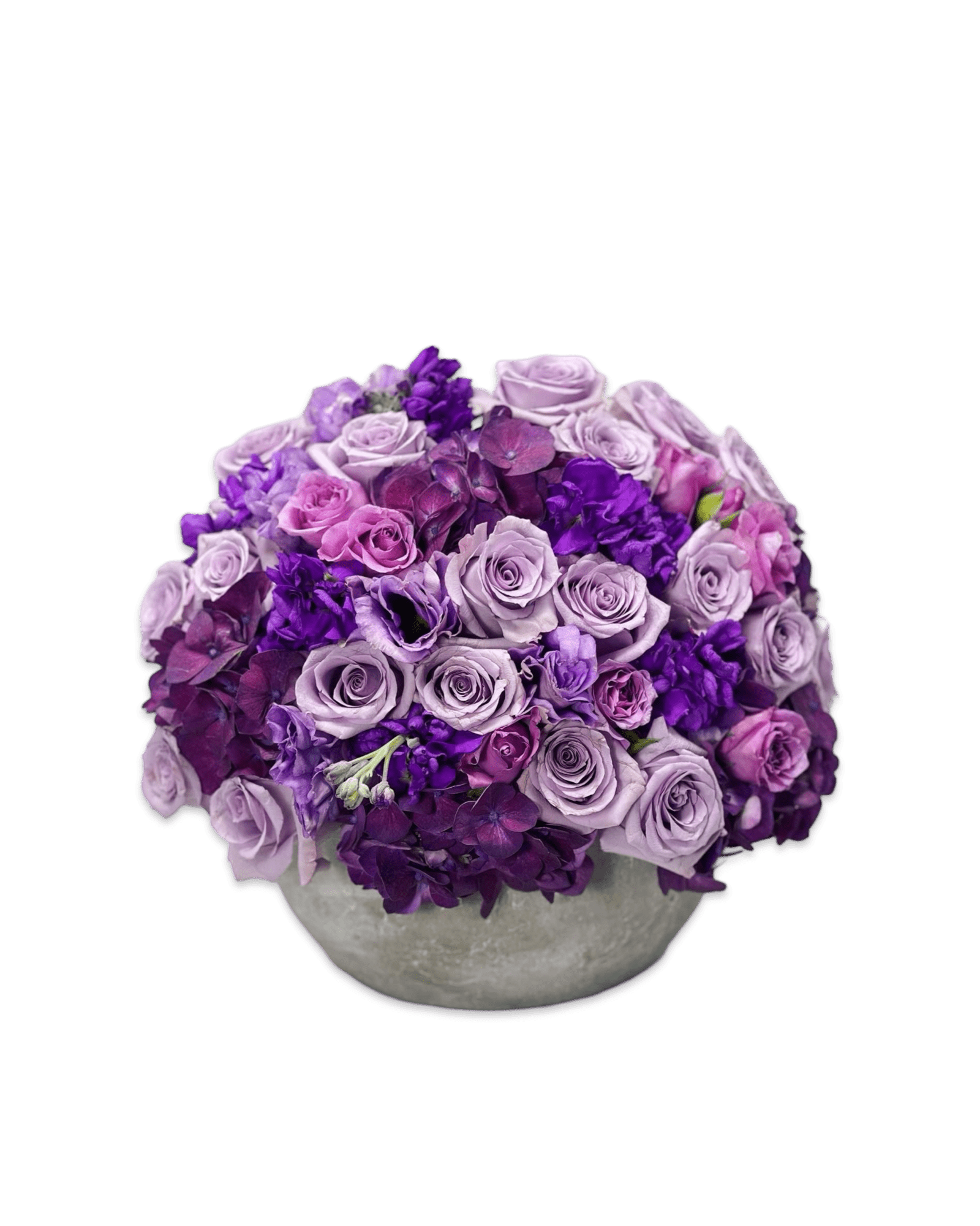 Lilac Dream - Petal Relations