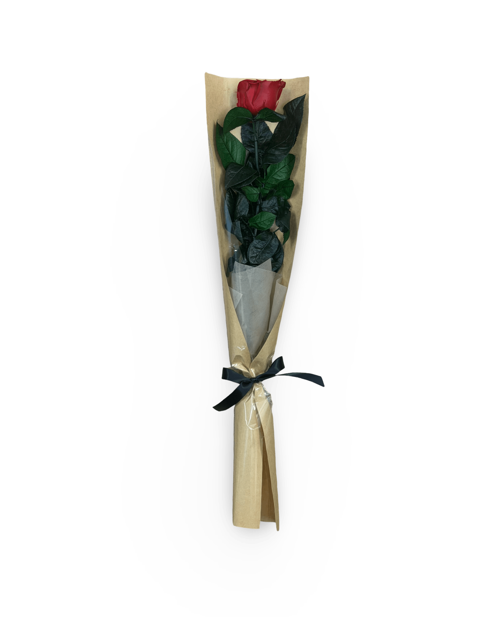 Long Stem Forever Red Rose