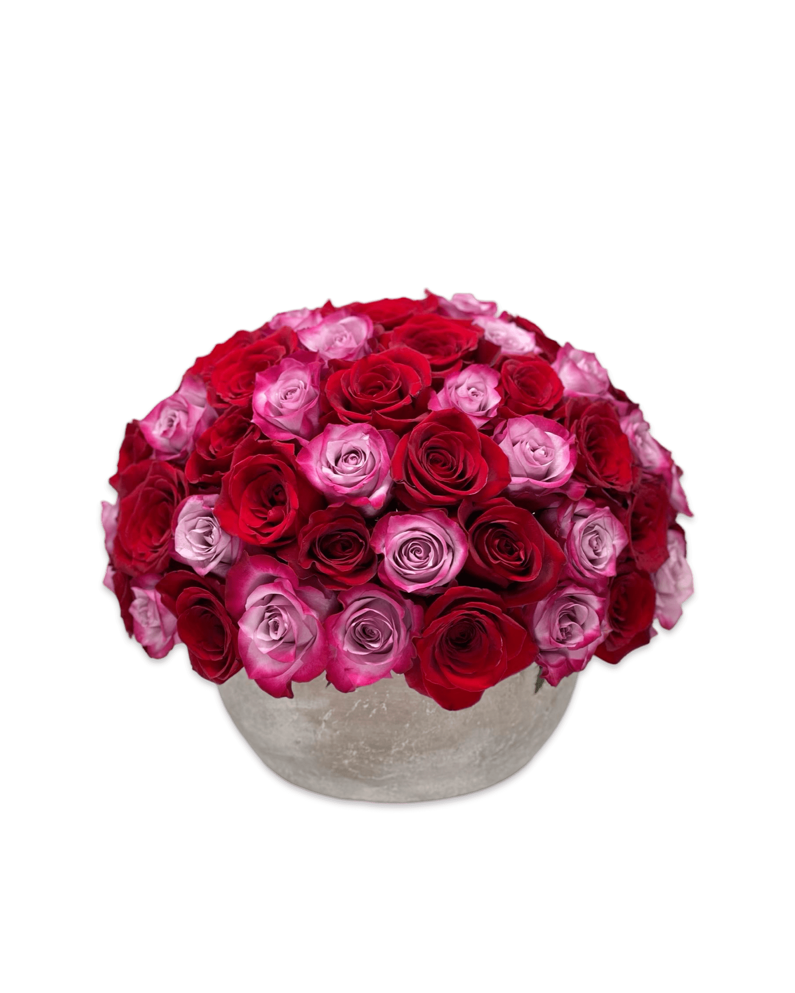 Love Of My Life - Petal Relations