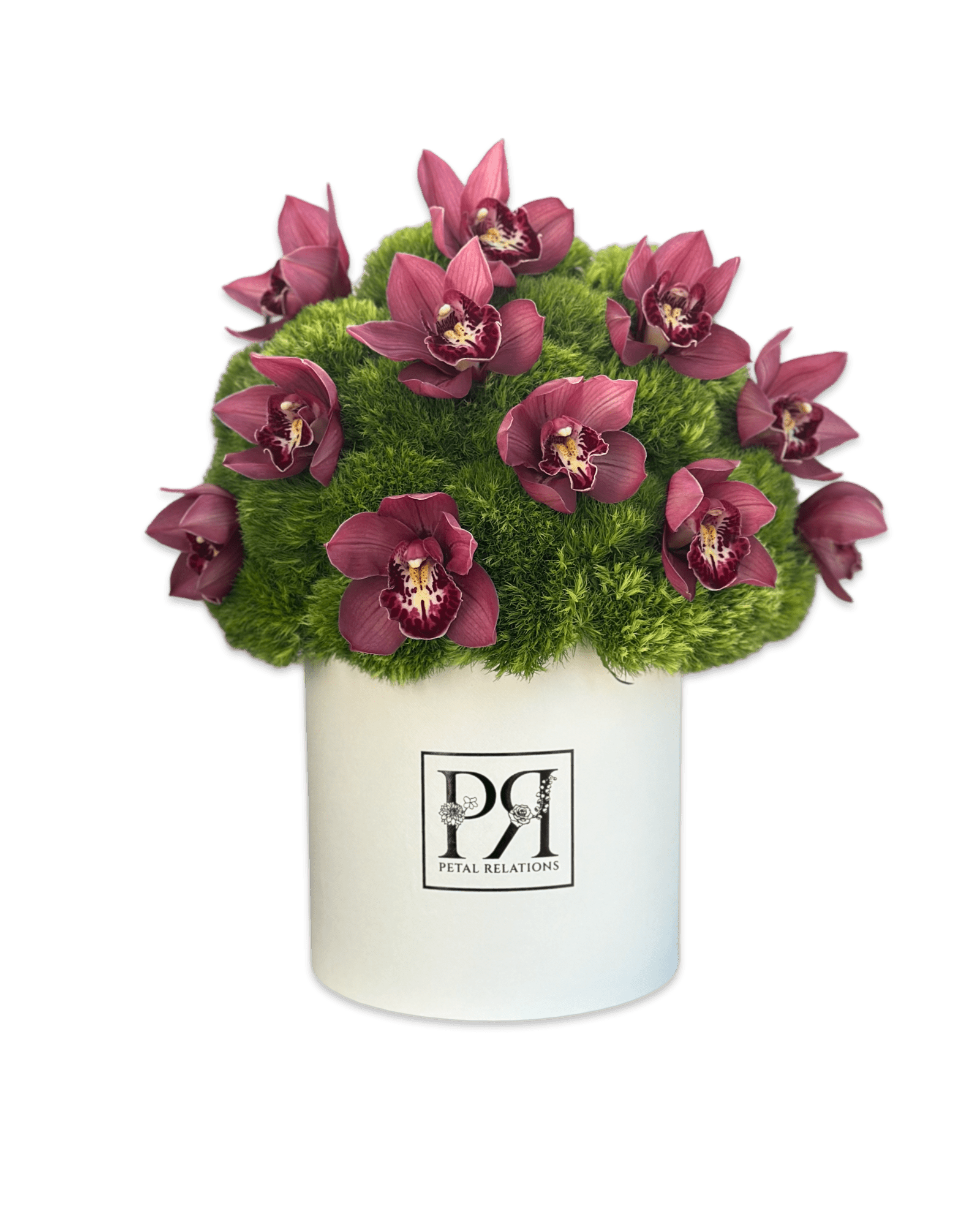 Orchid Field in a Box - Petal Relations
