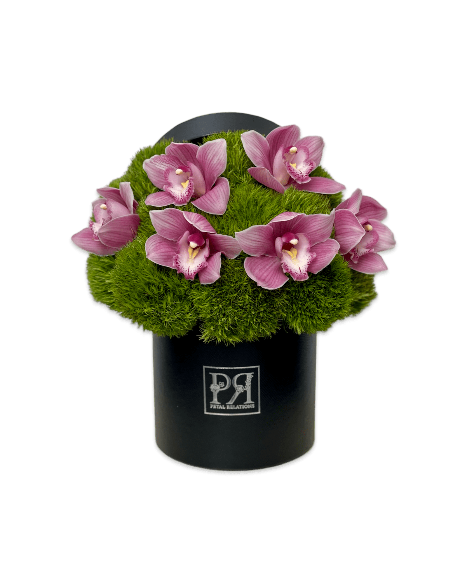Orchid Field in a Box - Petal Relations