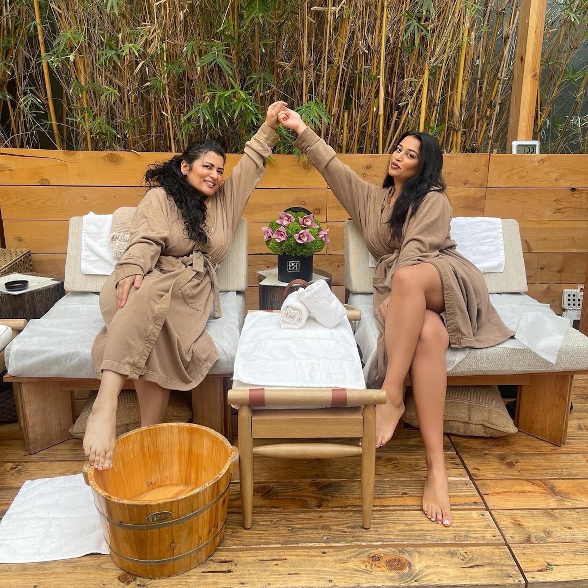 Orchid Field in a Box - Petal Relations