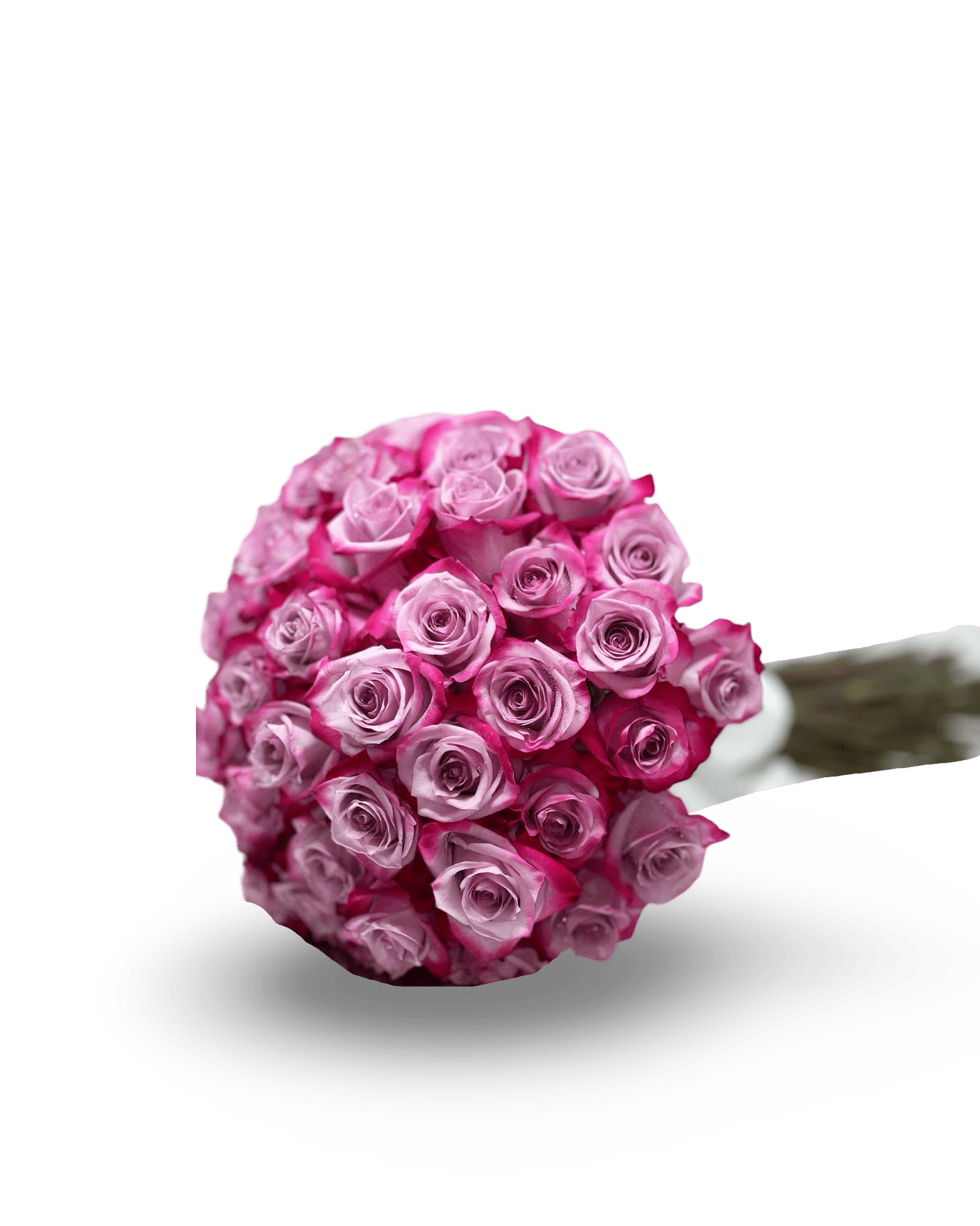 PetalOnTheGo - Petal Relations