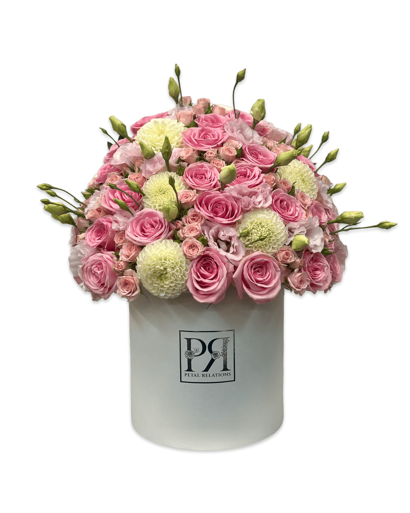 Pinky - Petal Relations