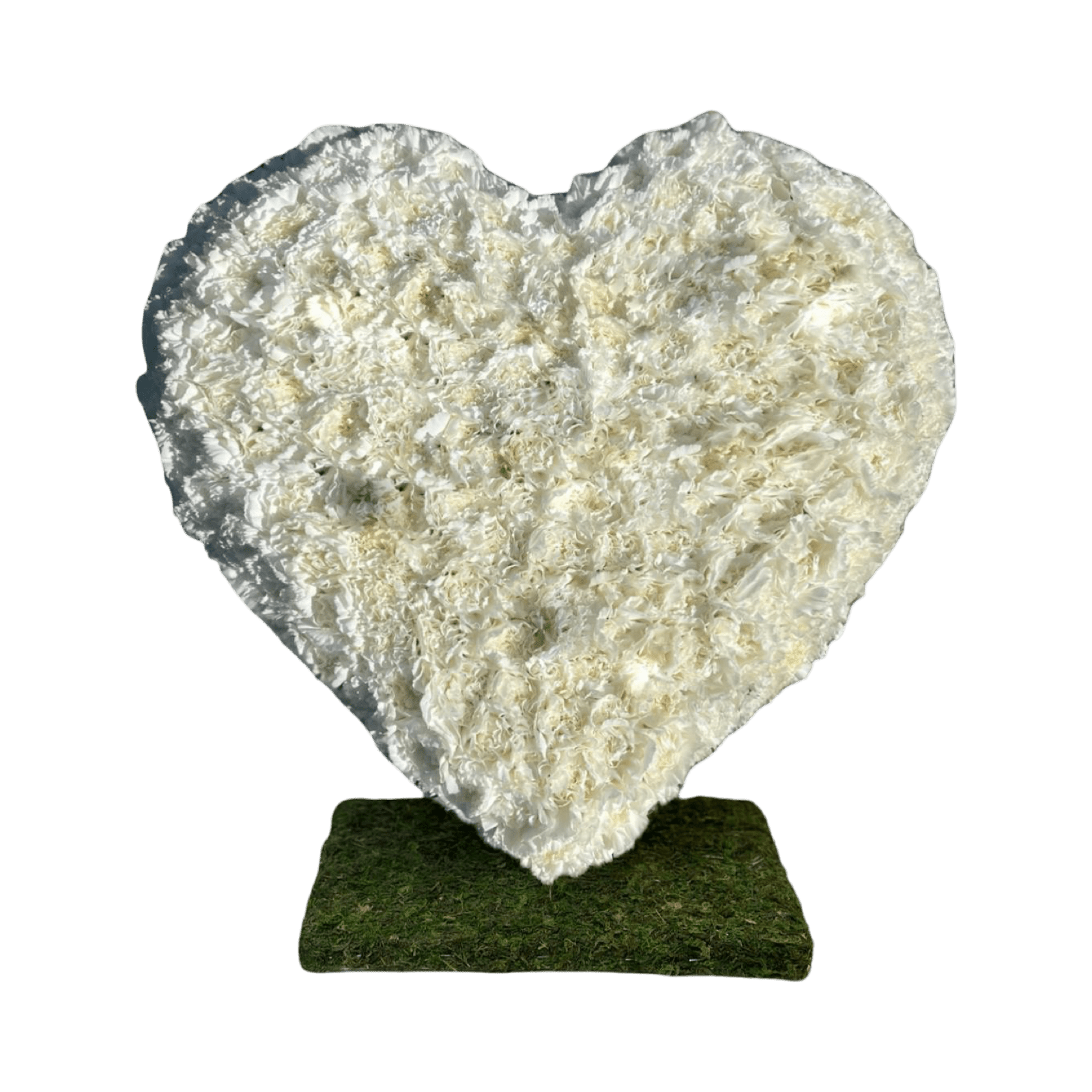 PR Standing Heart: Carnations VDAY - Petal Relations