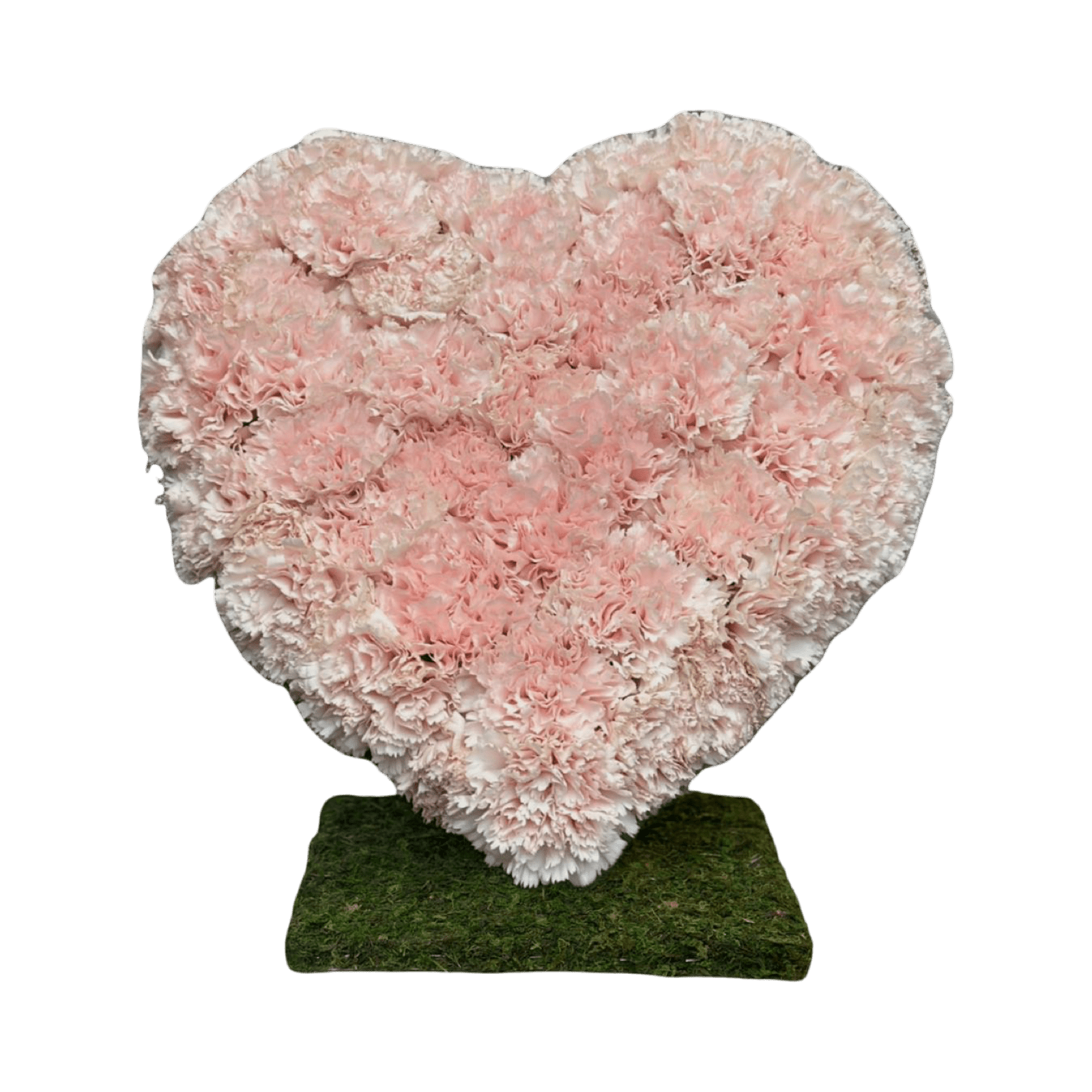 PR Standing Heart: Carnations VDAY - Petal Relations