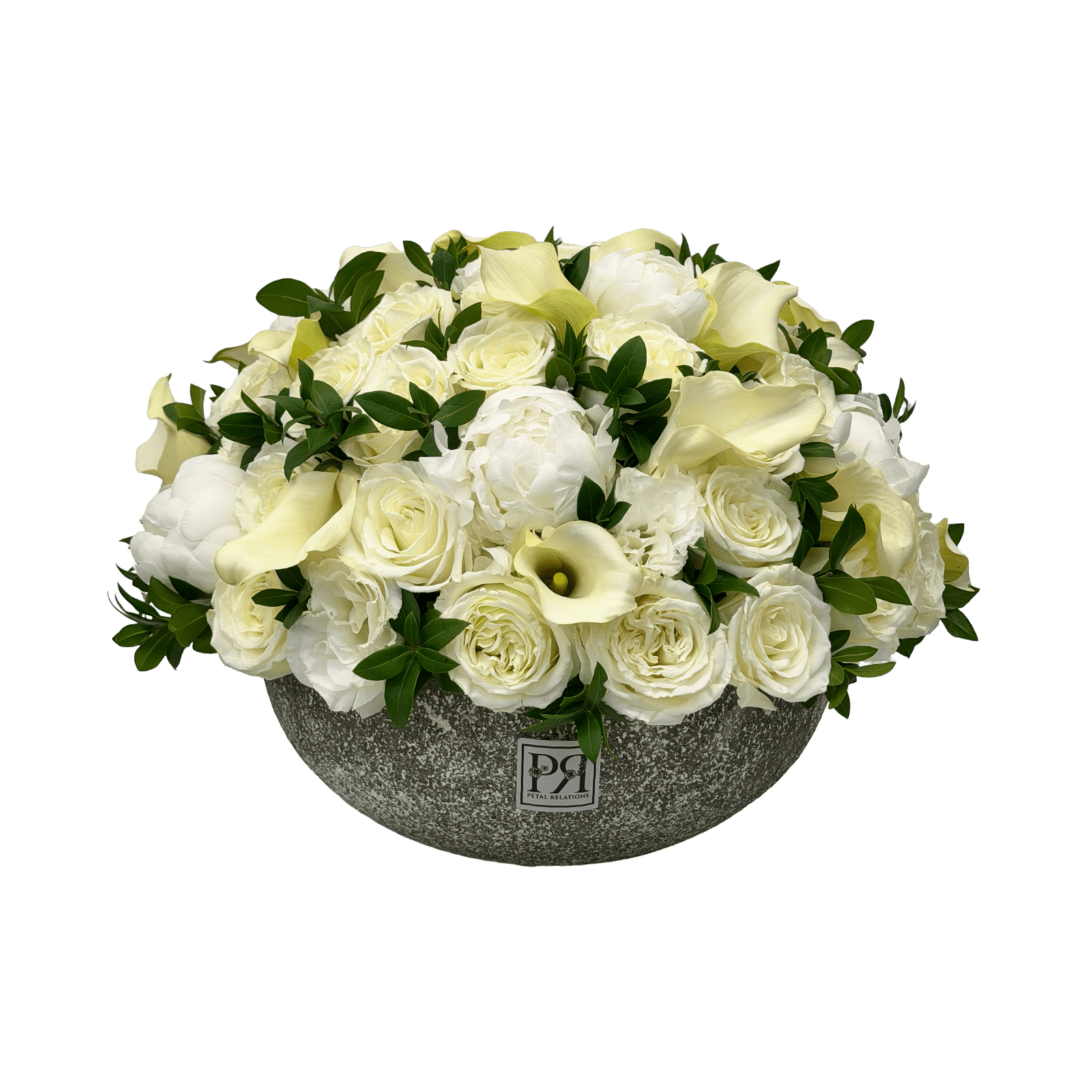 Sanctuary - Petal Relations