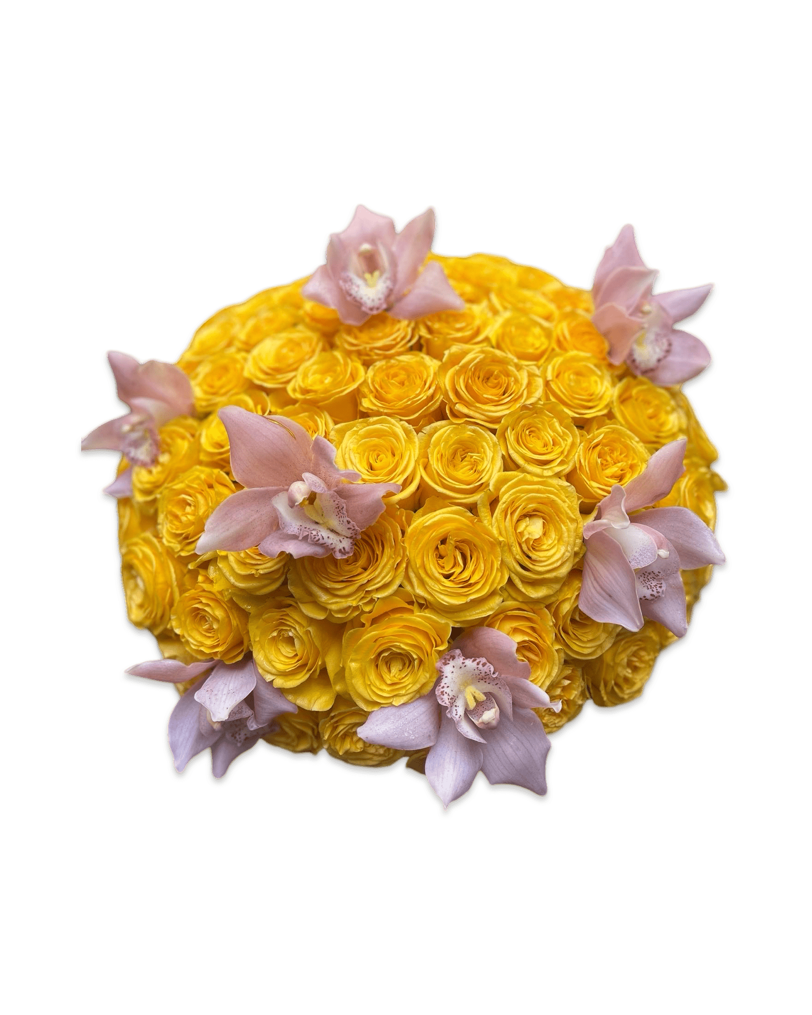 Simply Rose with Cymbidium Orchids - Petal Relations