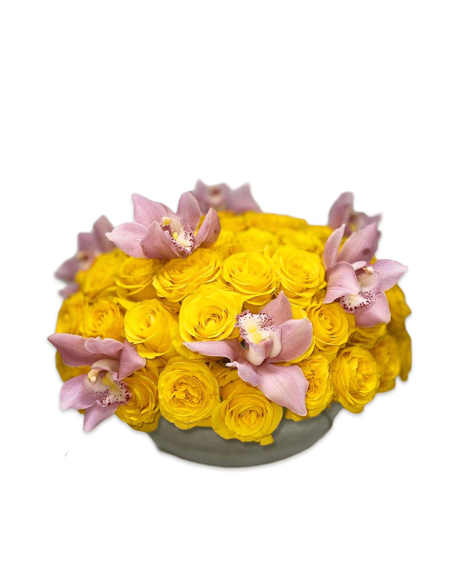 Simply Rose with Cymbidium Orchids - Petal Relations