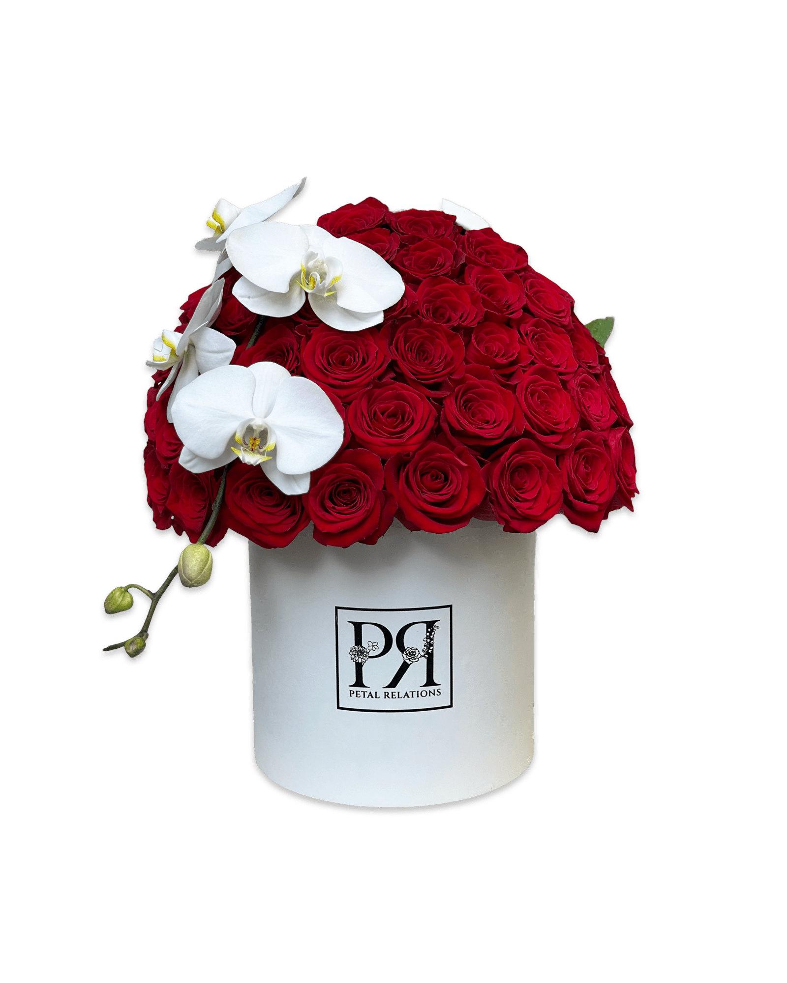 Simply Rose with Phalaenopsis Orchid in a Box - Petal Relations red