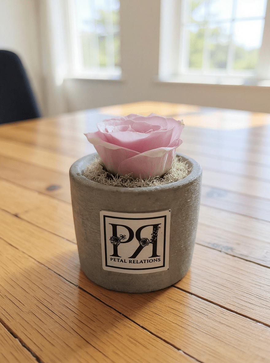 Single - Forever Rose - Petal Relations