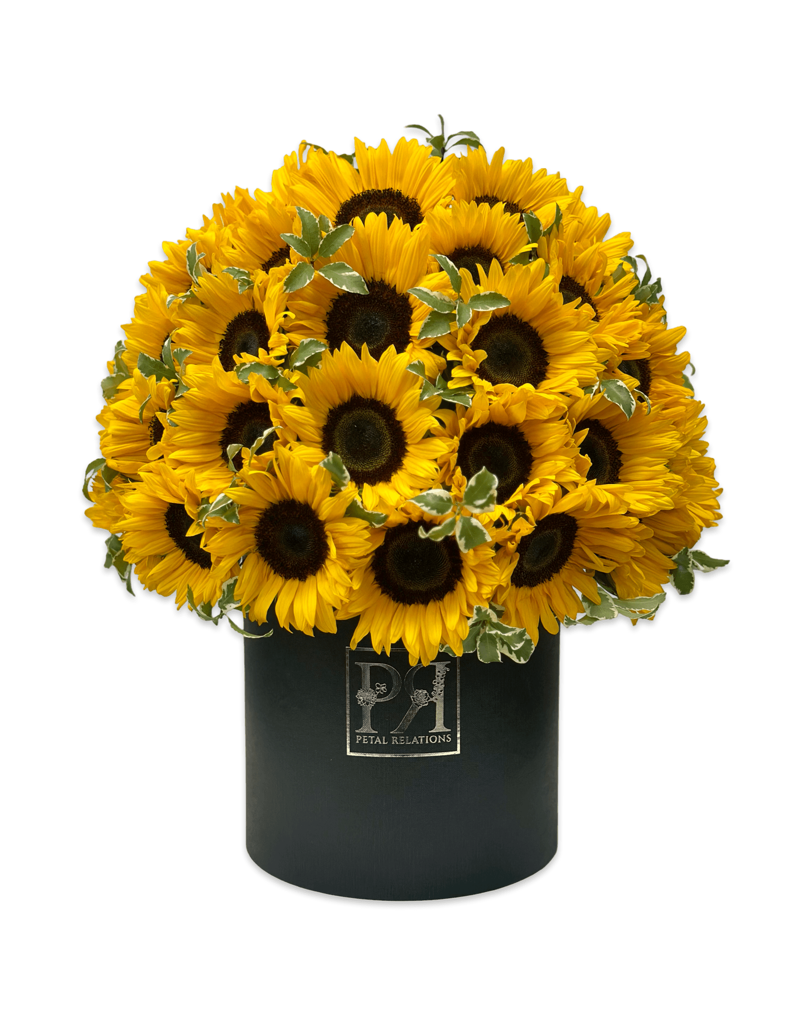 Sunflower Dream - Petal Relations