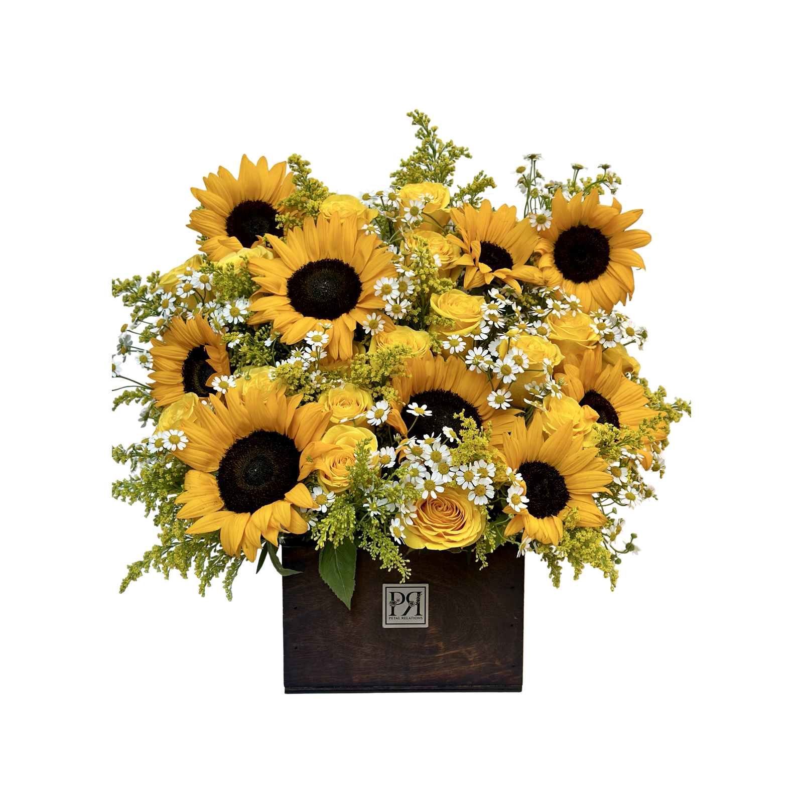 Sunflower Meadow - Petal Relations