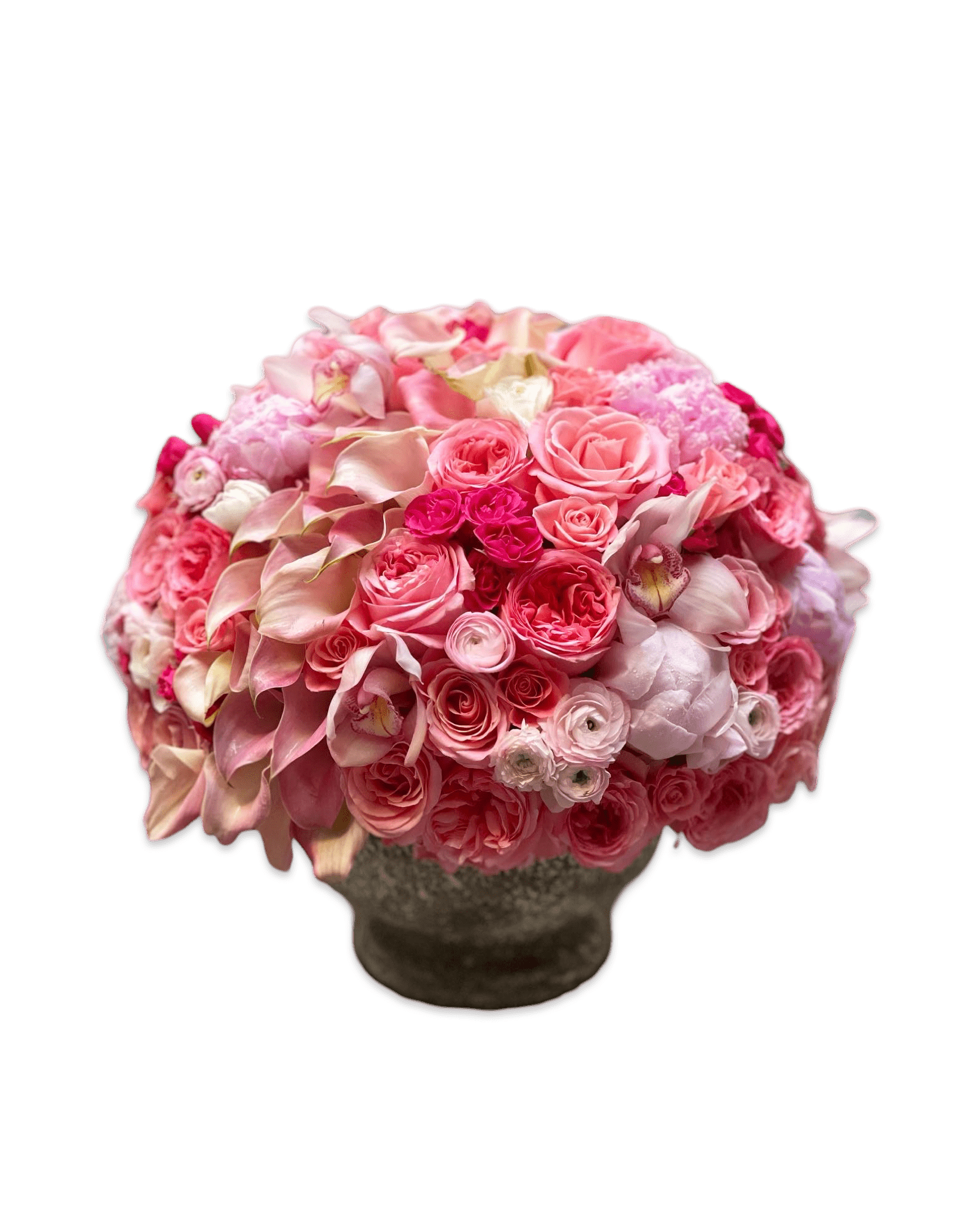 The Kaley - Petal Relations