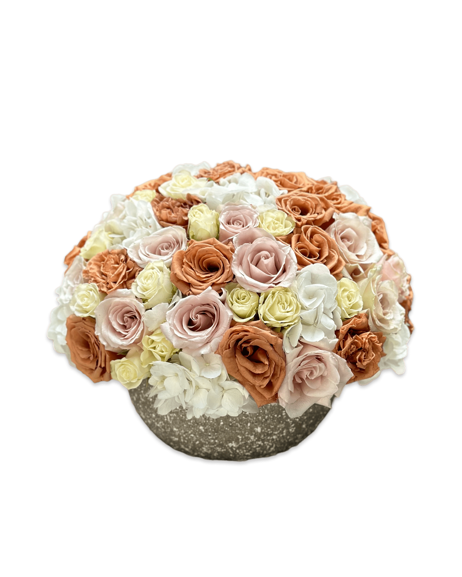 Toffee & Cream - Petal Relations