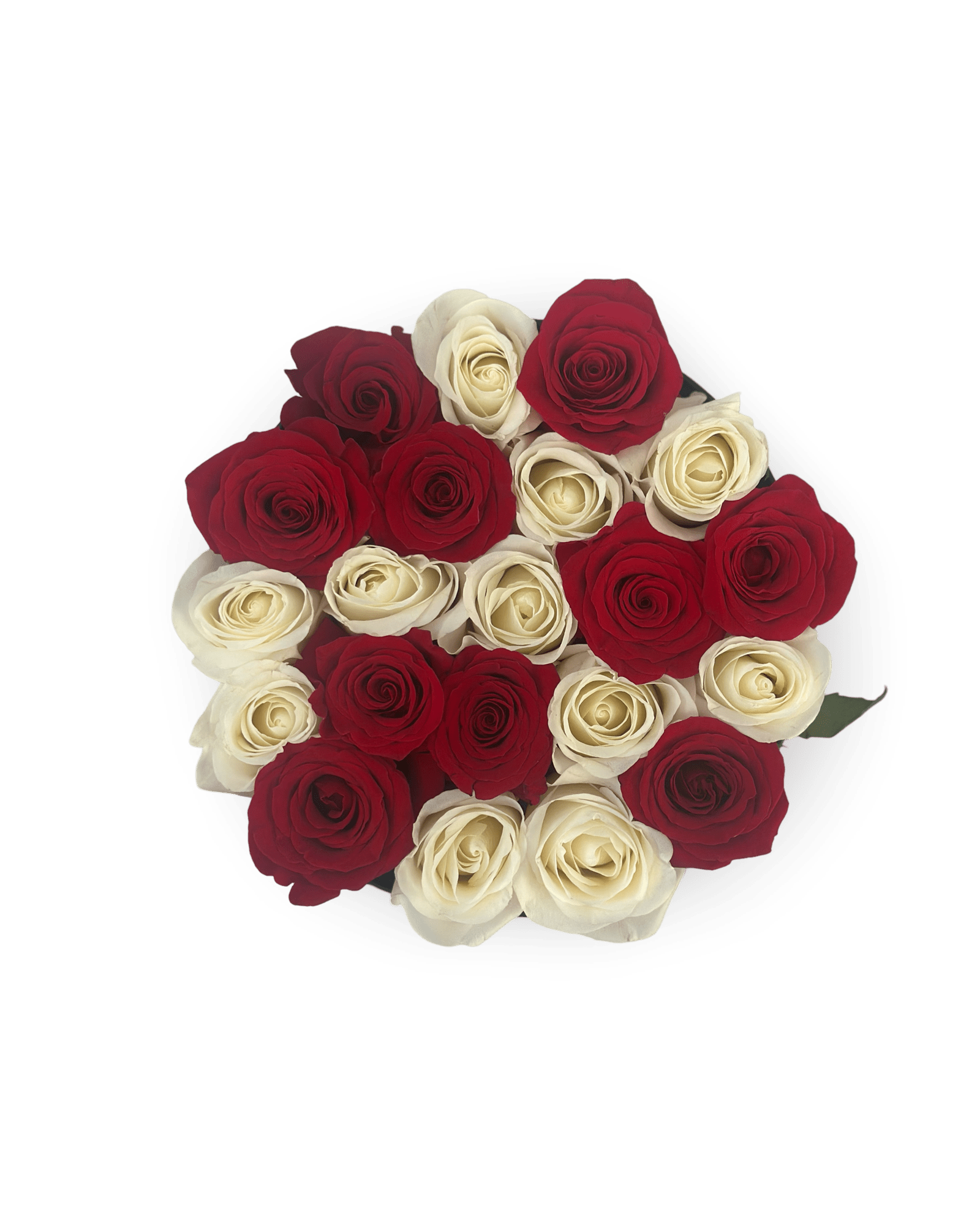 White & Red Joy - Petal Relations