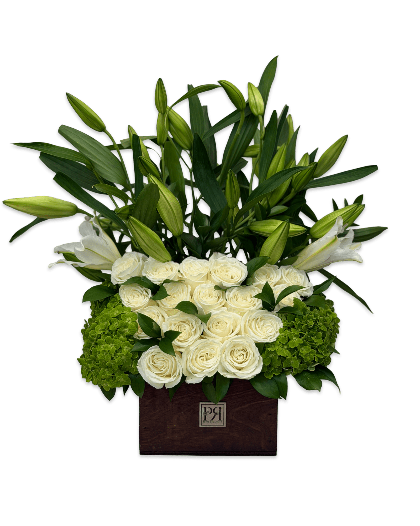 White Sunshine - Petal Relations