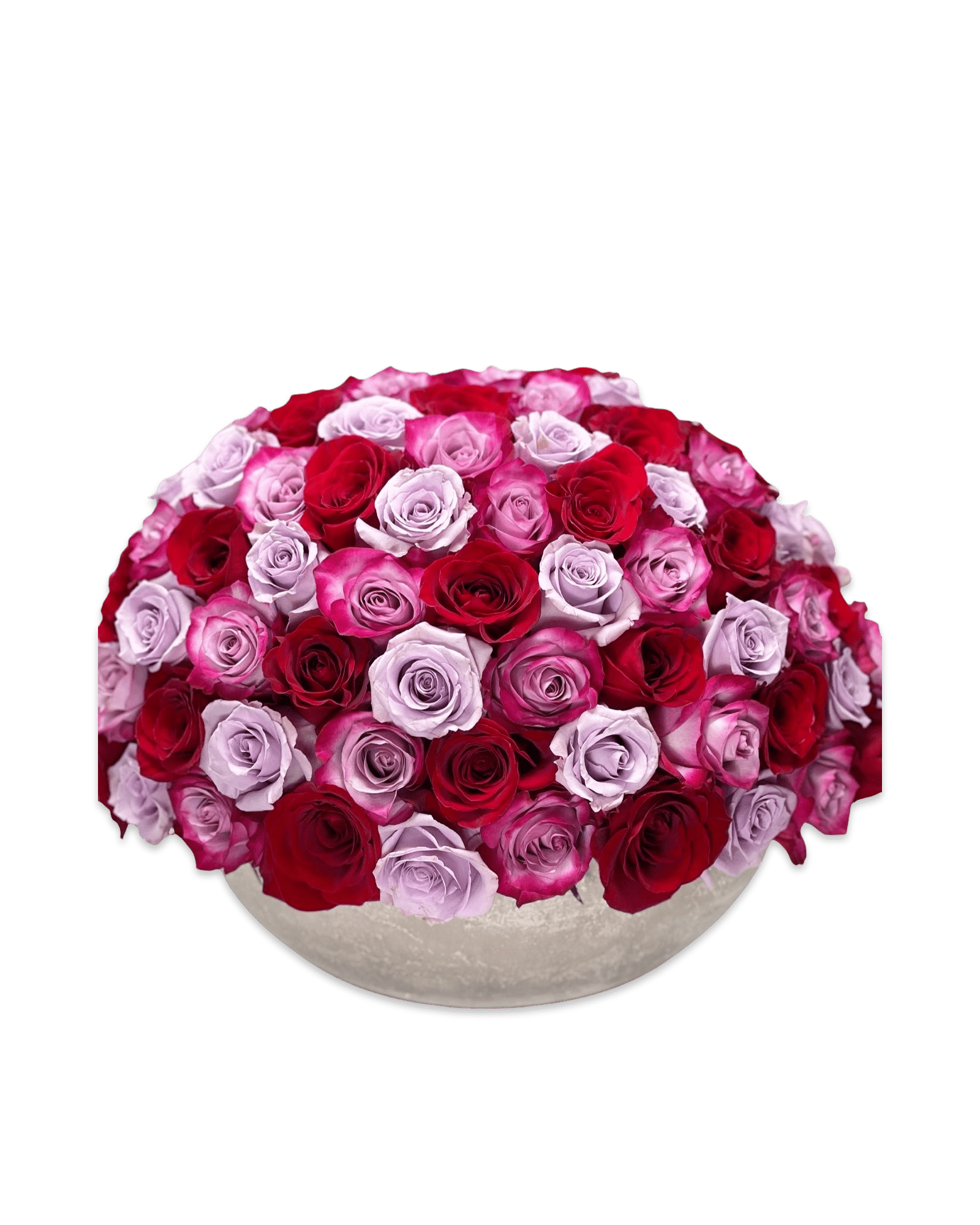 Will You Be My Valentine - Petal Relations